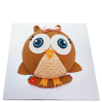 Owl Cake