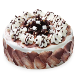 Vanilla Chocolate Cream Cake