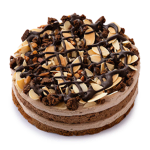 Belgian Chocolate Cake Delight